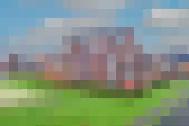 Wierdijk 133 Zwaag thumbnail 33