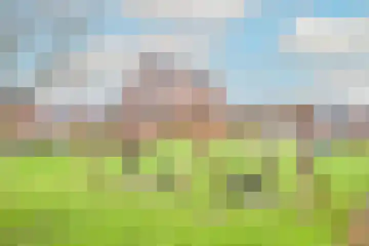Wierdijk 133 Zwaag thumbnail 35
