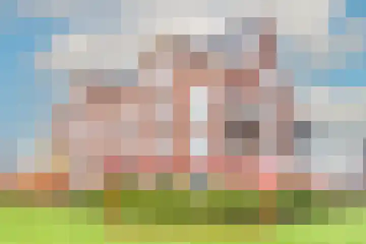 Wierdijk 133 Zwaag thumbnail 7