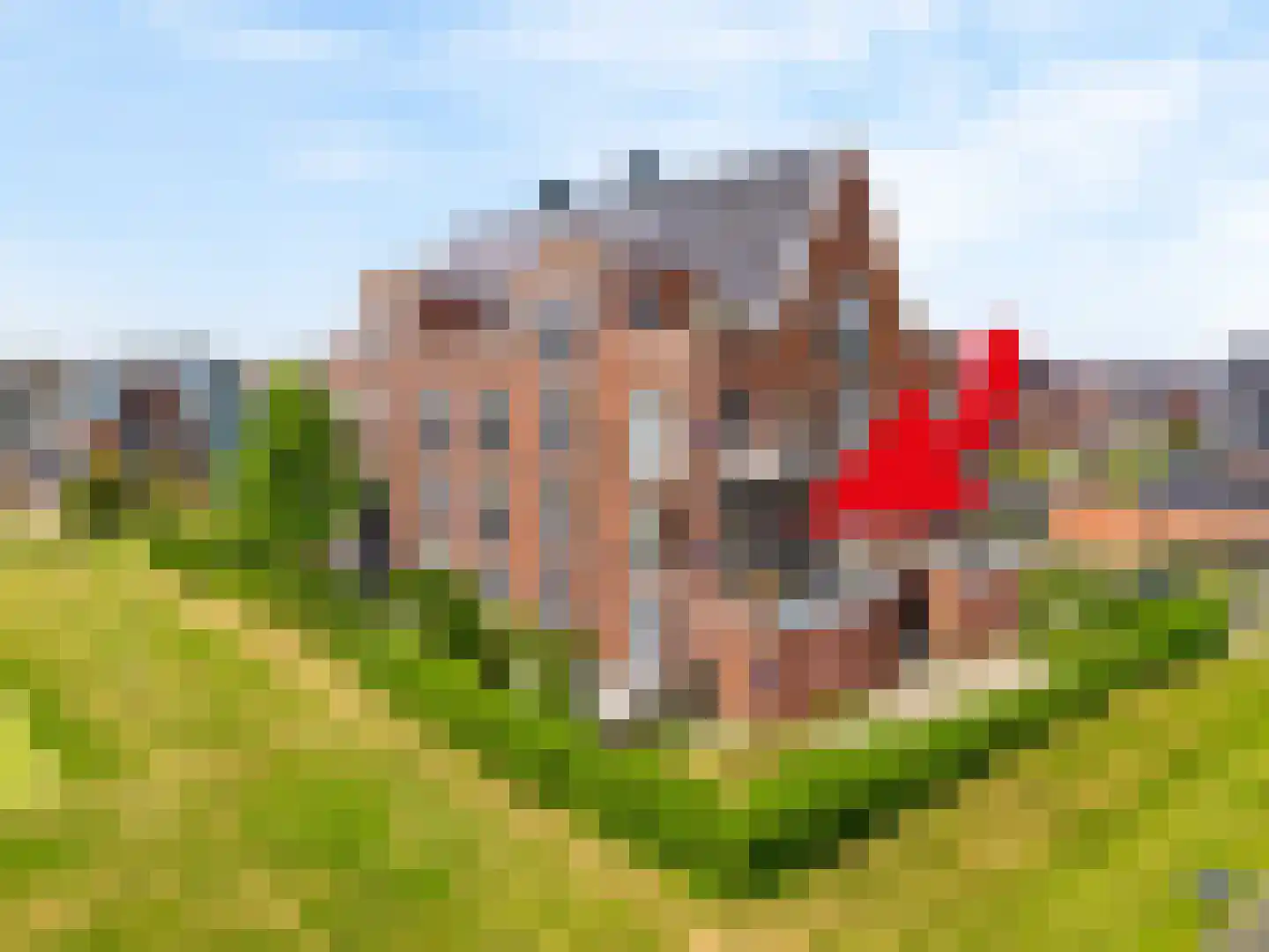 Wierdijk 135 Zwaag
