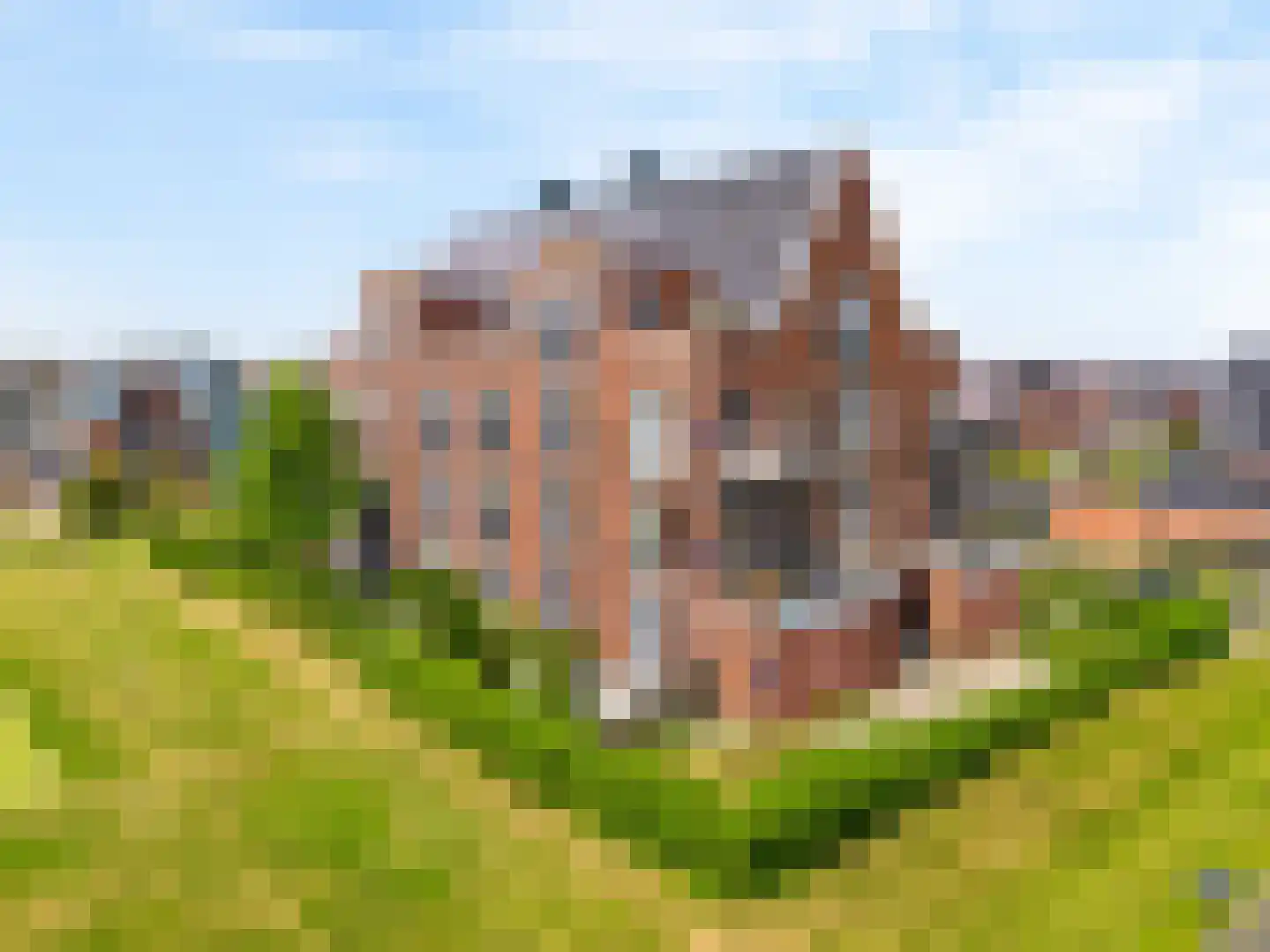 Wierdijk 135 Zwaag thumbnail 22