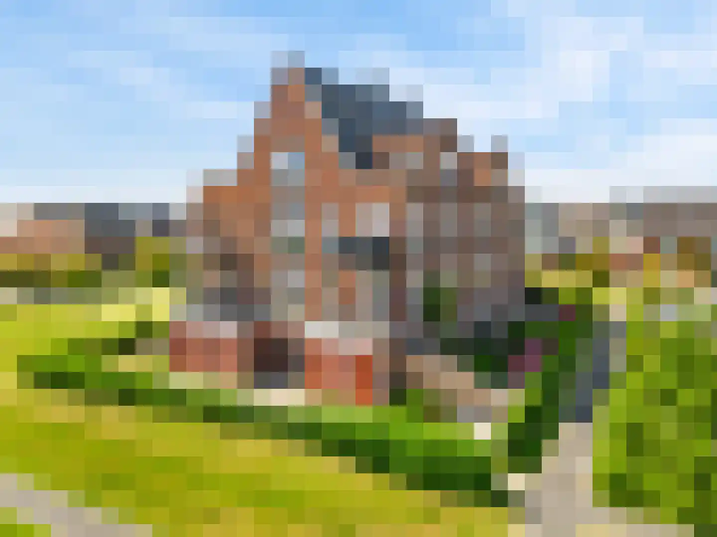 Wierdijk 135 Zwaag thumbnail 31