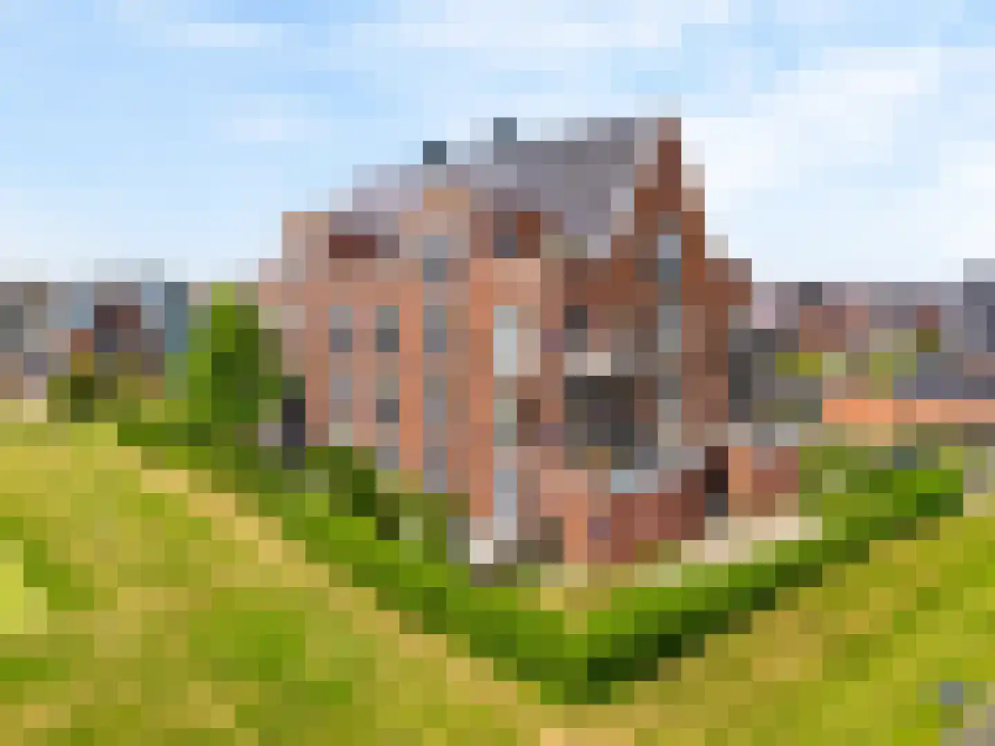 Wierdijk 135 Zwaag thumbnail 6