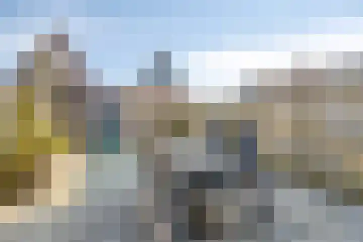Wierdijk 16 Zwaag thumbnail 21
