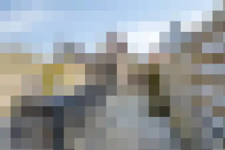Wierdijk 16 Zwaag thumbnail 23