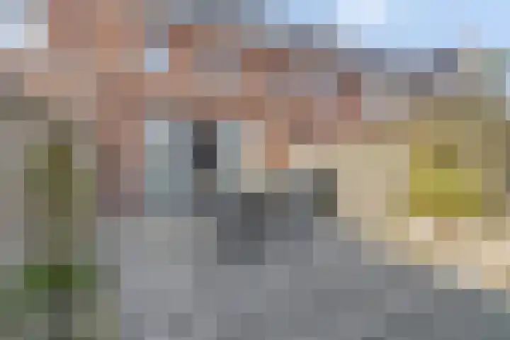 Wierdijk 16 Zwaag thumbnail 25