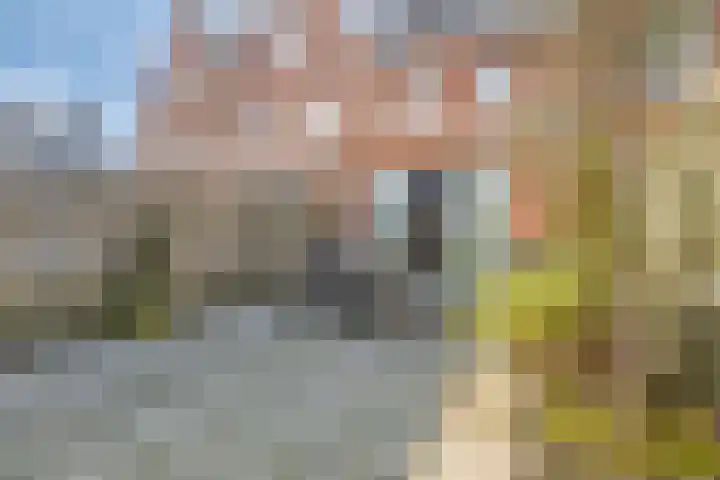 Wierdijk 16 Zwaag thumbnail 4