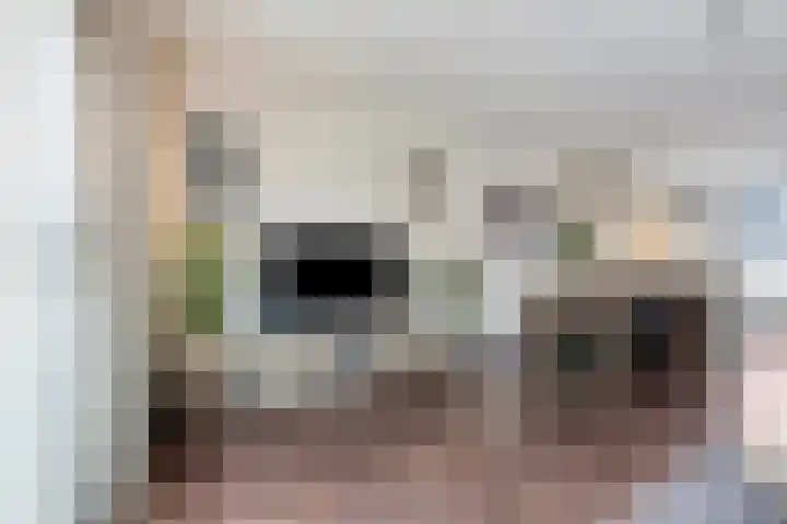 Wierdijk 16 Zwaag thumbnail 9