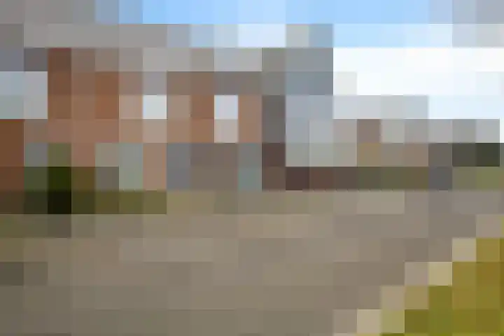 Wierdijk 162 Zwaag thumbnail 27