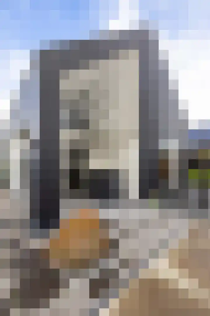 Wierdijk 24 Meerstad thumbnail 64
