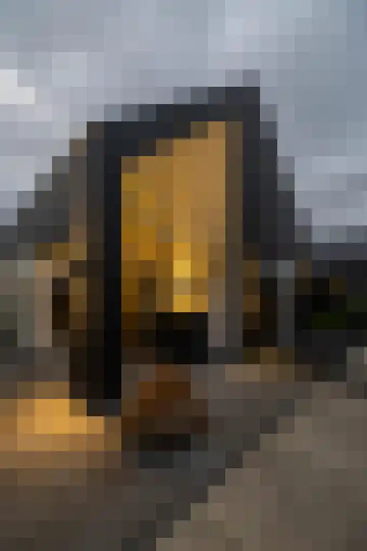 Wierdijk 24 Meerstad thumbnail 65