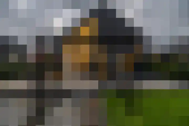 Wierdijk 24 Meerstad thumbnail 69