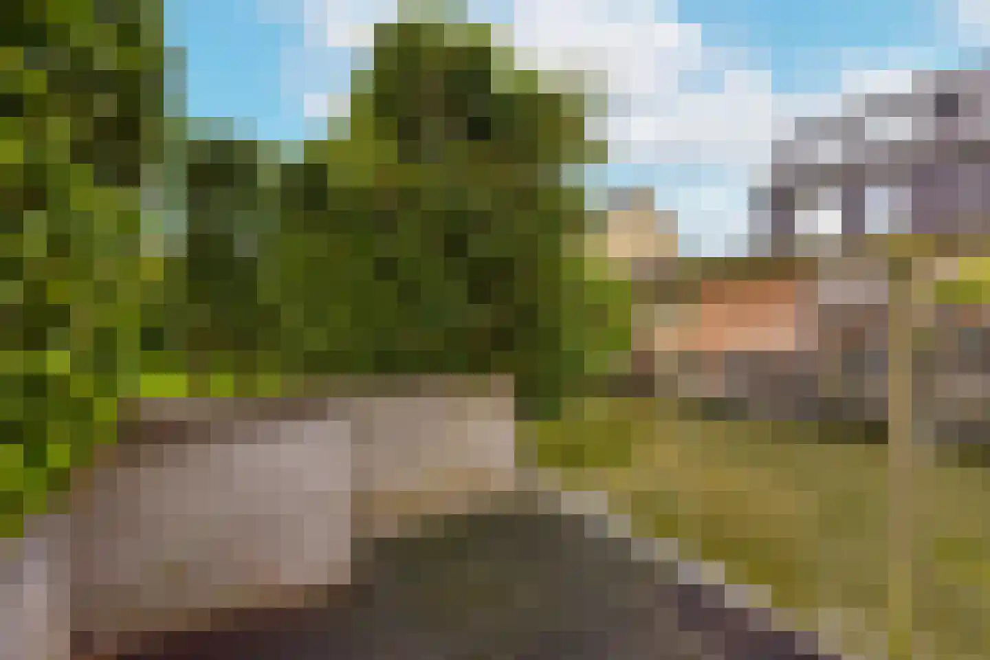 Wierdijk 40 Zwaag thumbnail 31
