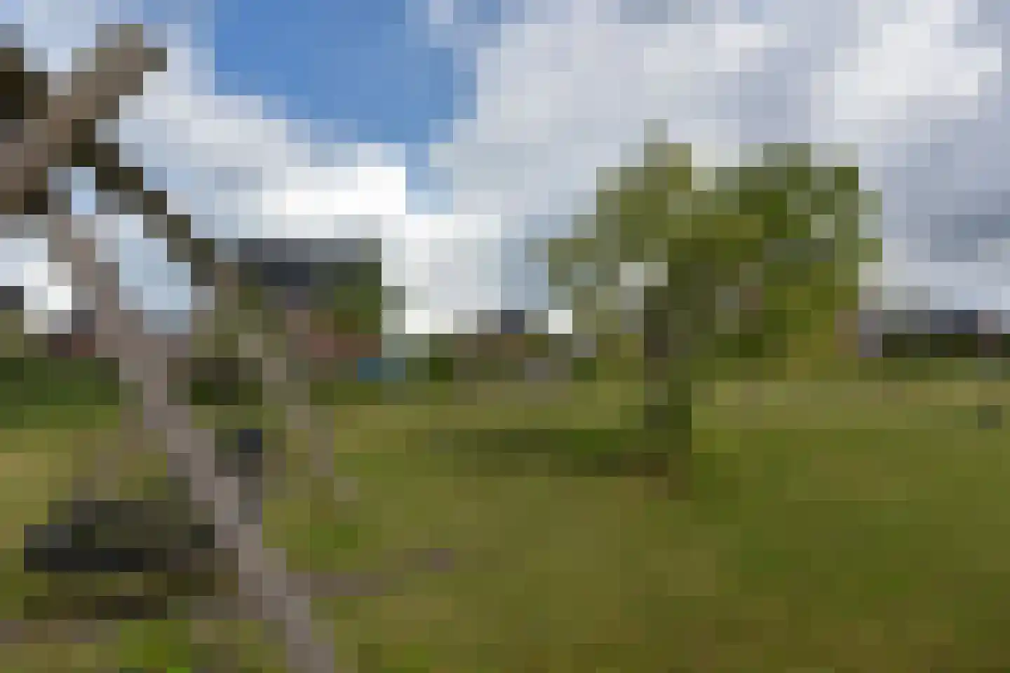 Wierdijk 40 Zwaag thumbnail 37