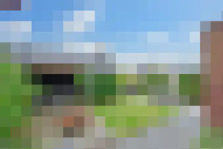 Wierdijk 41 Zwaag thumbnail 32