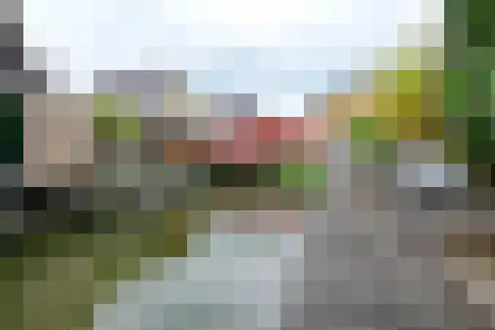 Wierdijk 41 Zwaag thumbnail 35