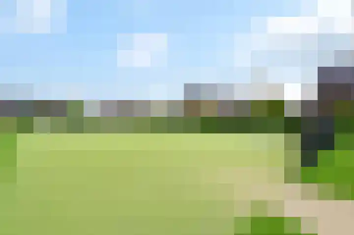 Wierdijk 41 Zwaag thumbnail 38