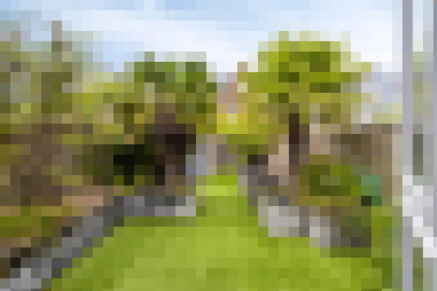 Wierdijk 46 Zwaag thumbnail 37
