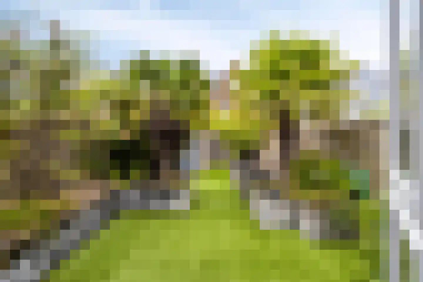 Wierdijk 46 Zwaag thumbnail 38