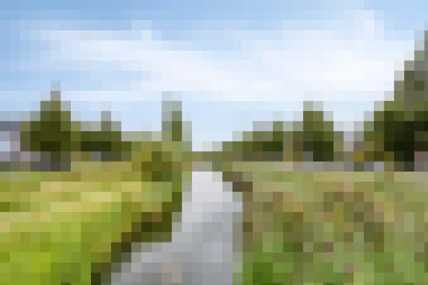 Wierdijk 46 Zwaag thumbnail 45