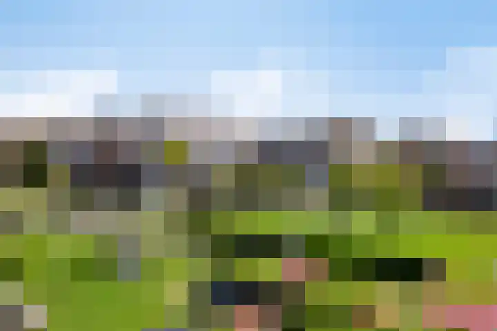 Wierdijk 65 Zwaag thumbnail 16
