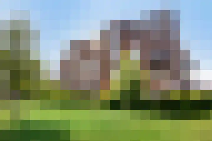 Wierdijk 65 Zwaag thumbnail 19