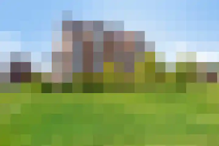 Wierdijk 65 Zwaag thumbnail 20