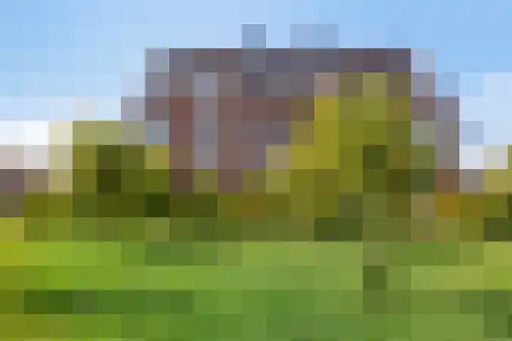 Wierdijk 65 Zwaag thumbnail 21