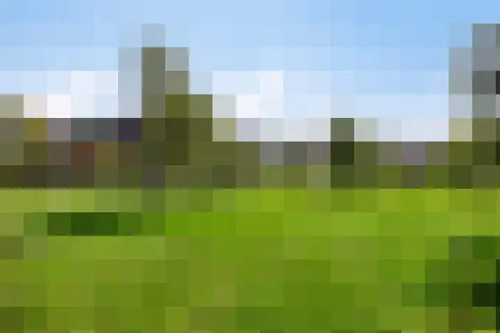 Wierdijk 65 Zwaag thumbnail 22