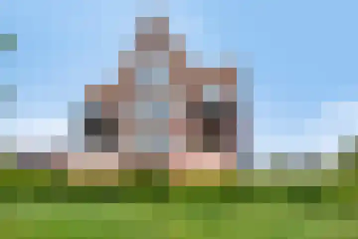 Wierdijk 65 Zwaag thumbnail 26