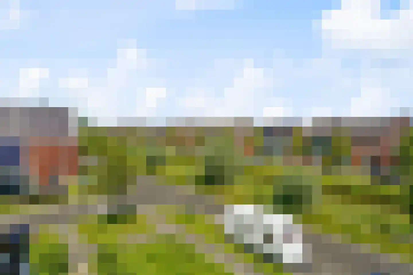 Wierdijk 73 Zwaag thumbnail 23