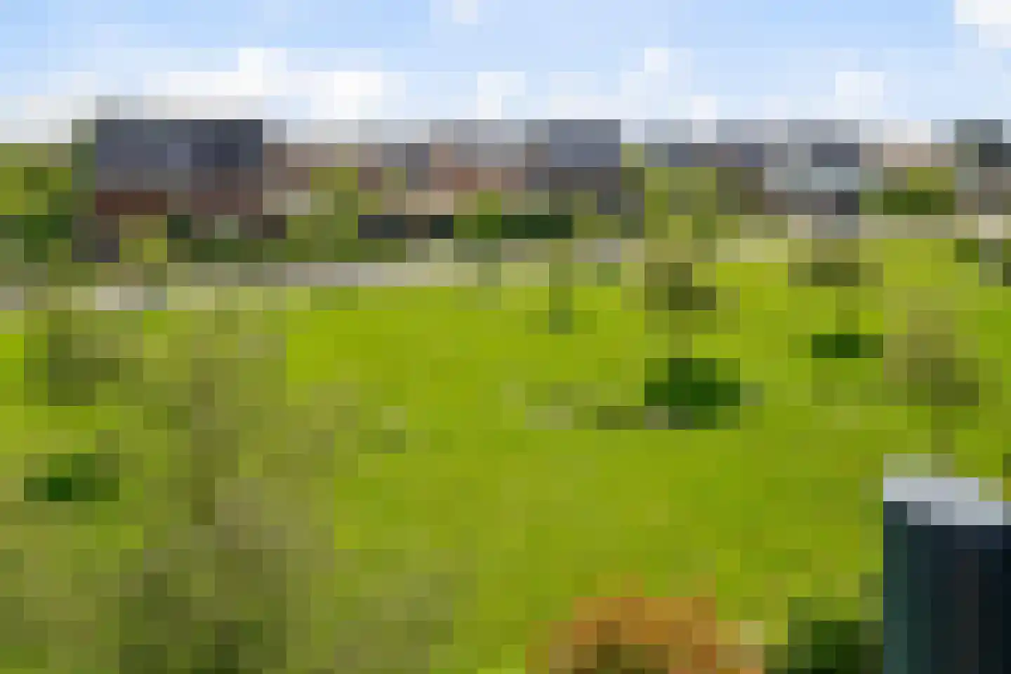 Wierdijk 73 Zwaag thumbnail 25