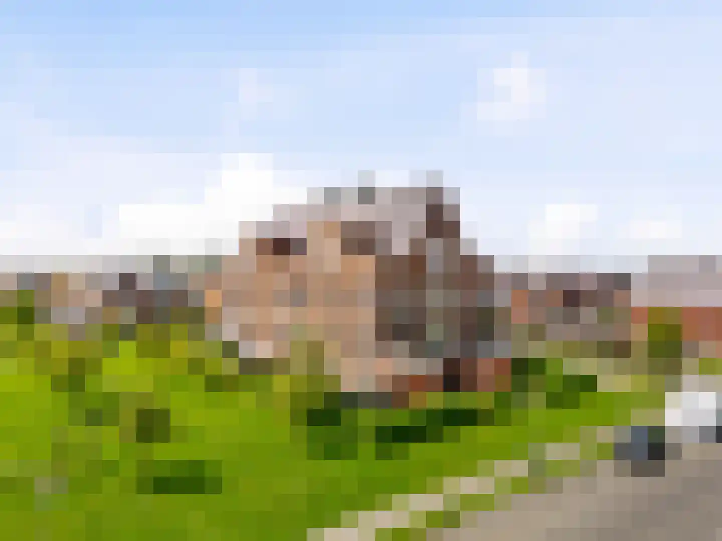 Wierdijk 73 Zwaag thumbnail 26