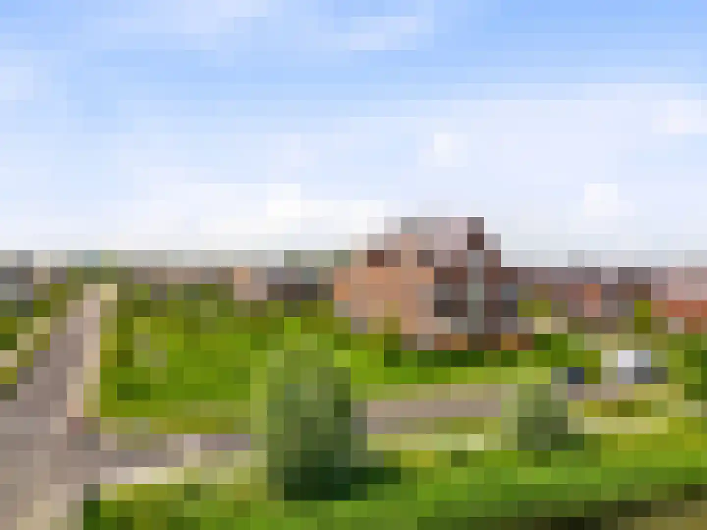 Wierdijk 73 Zwaag thumbnail 27