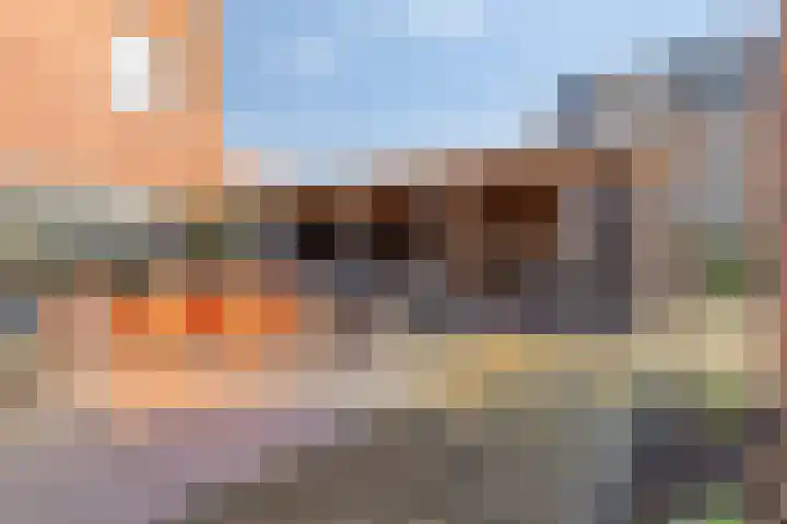 Wierdijk 76 Zwaag thumbnail 38