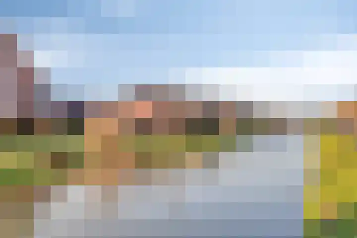 Wierdijk 76 Zwaag thumbnail 46