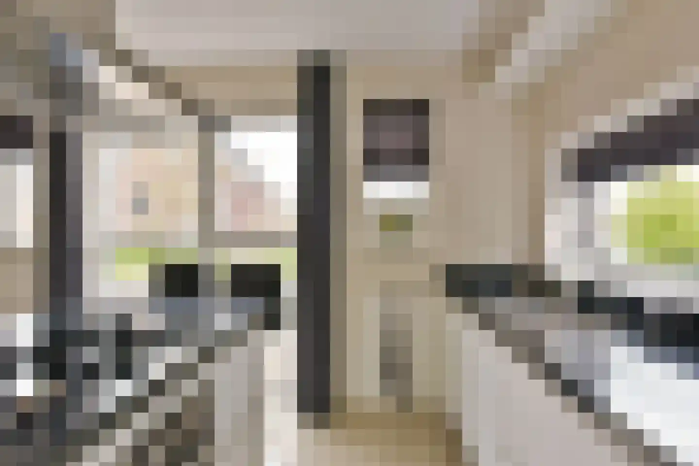 Wierdijk 8 Zwaag thumbnail 15
