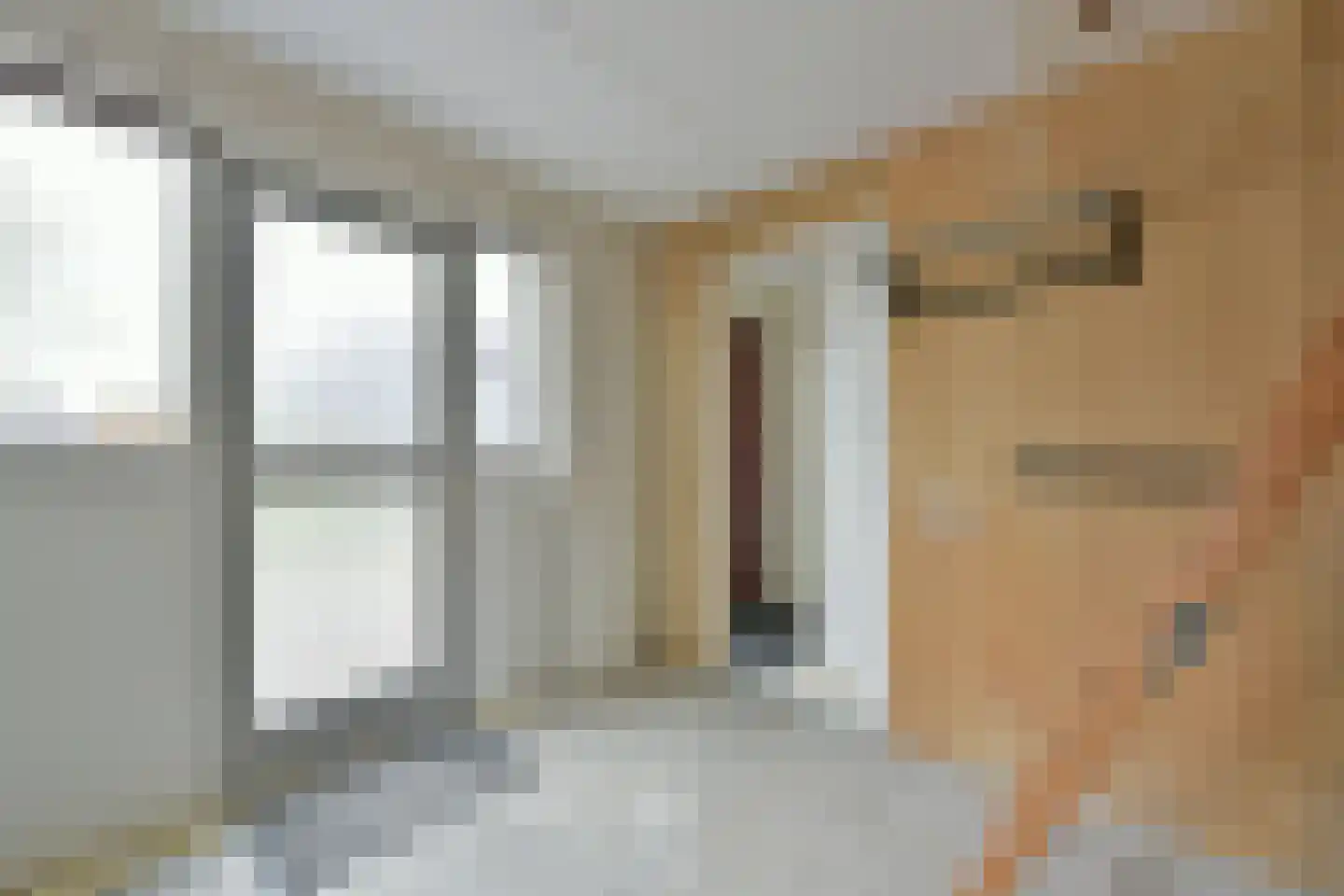 Wierdijk 8 Zwaag thumbnail 38