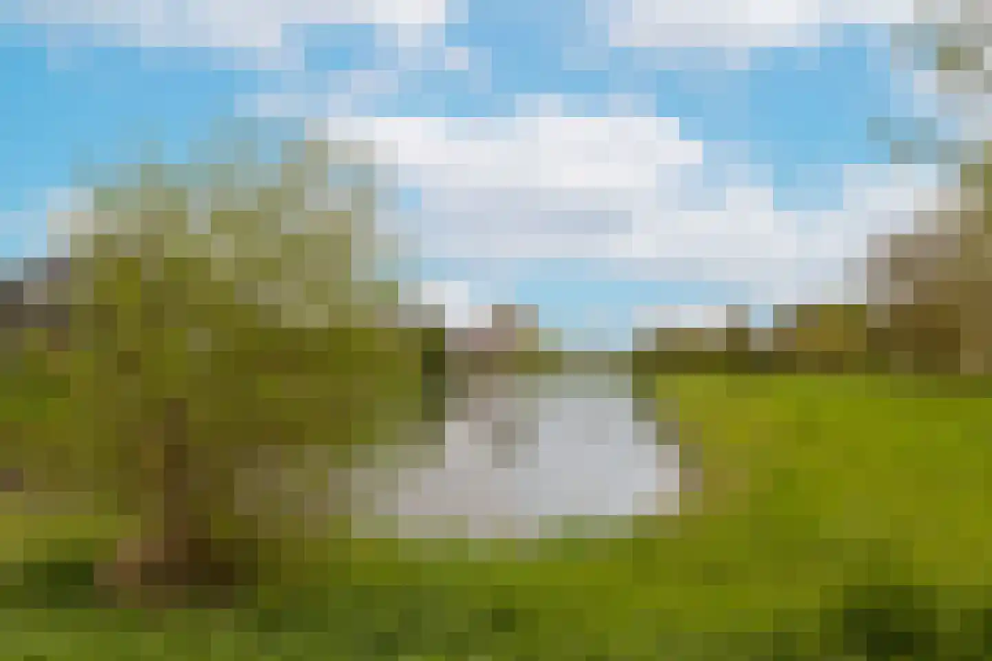 Wierdijk 8 Zwaag thumbnail 41