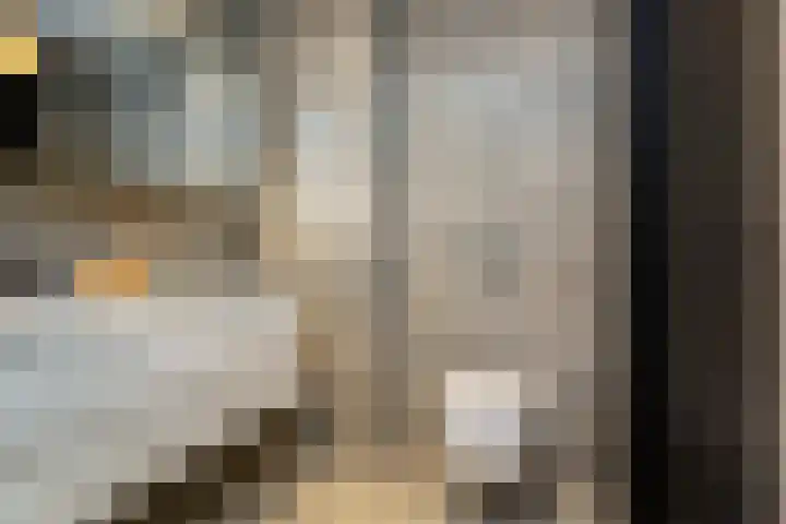 Wierdsmaplein 20 Rotterdam thumbnail 19