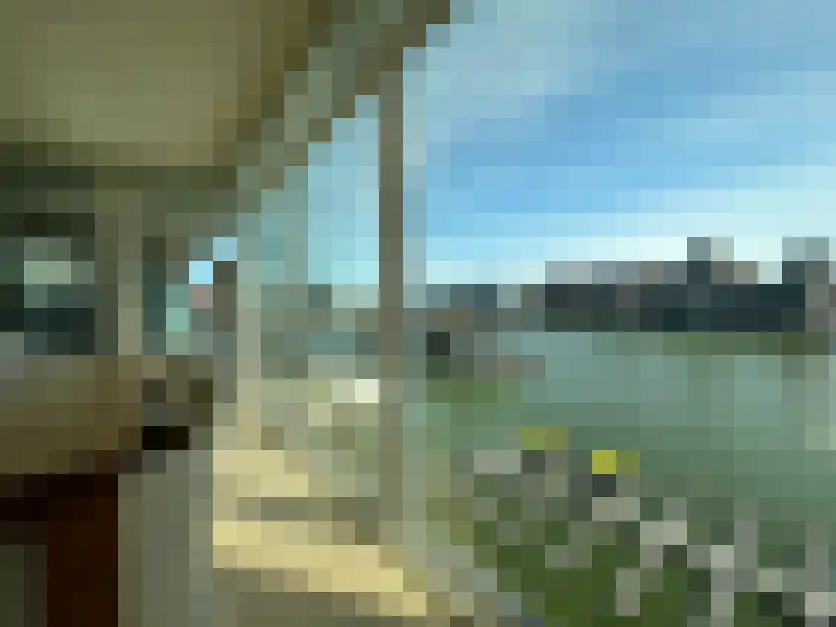 Wierdsmaplein 31 Rotterdam thumbnail 4