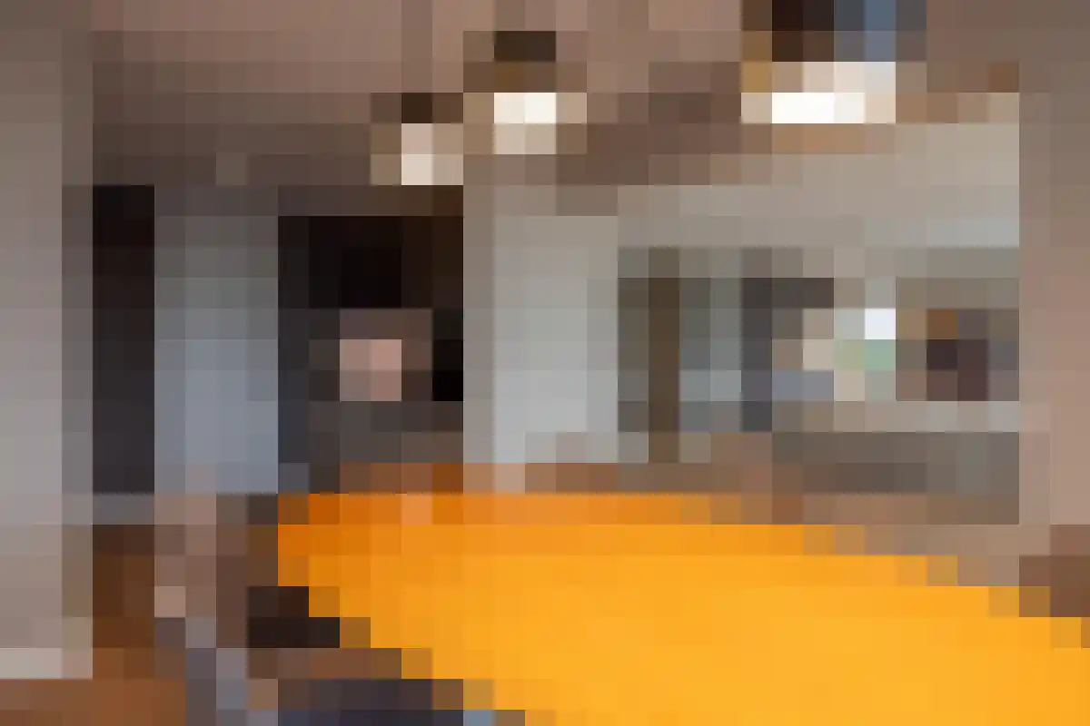 Wierdsmaplein 33 Rotterdam thumbnail 6