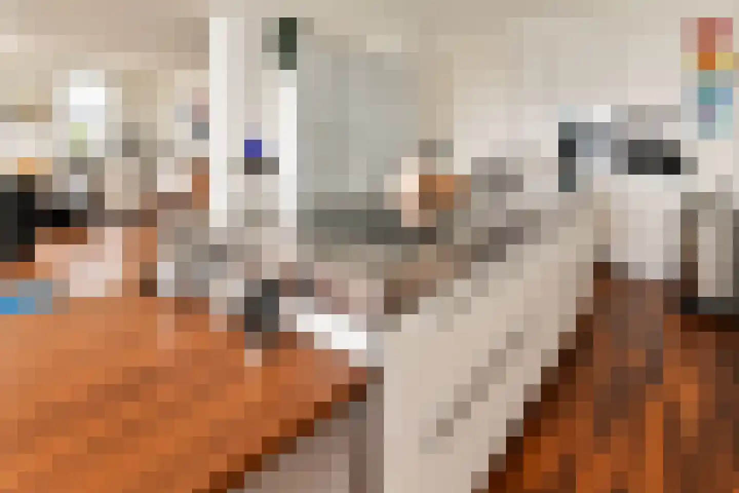 Wierdsmaplein 37 Rotterdam thumbnail 17