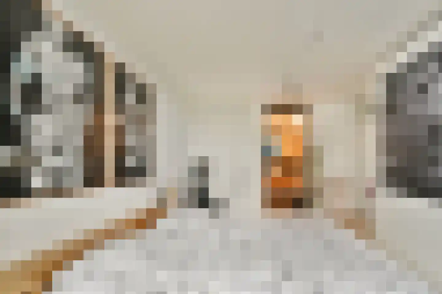 Wierdsmaplein 37 Rotterdam thumbnail 33