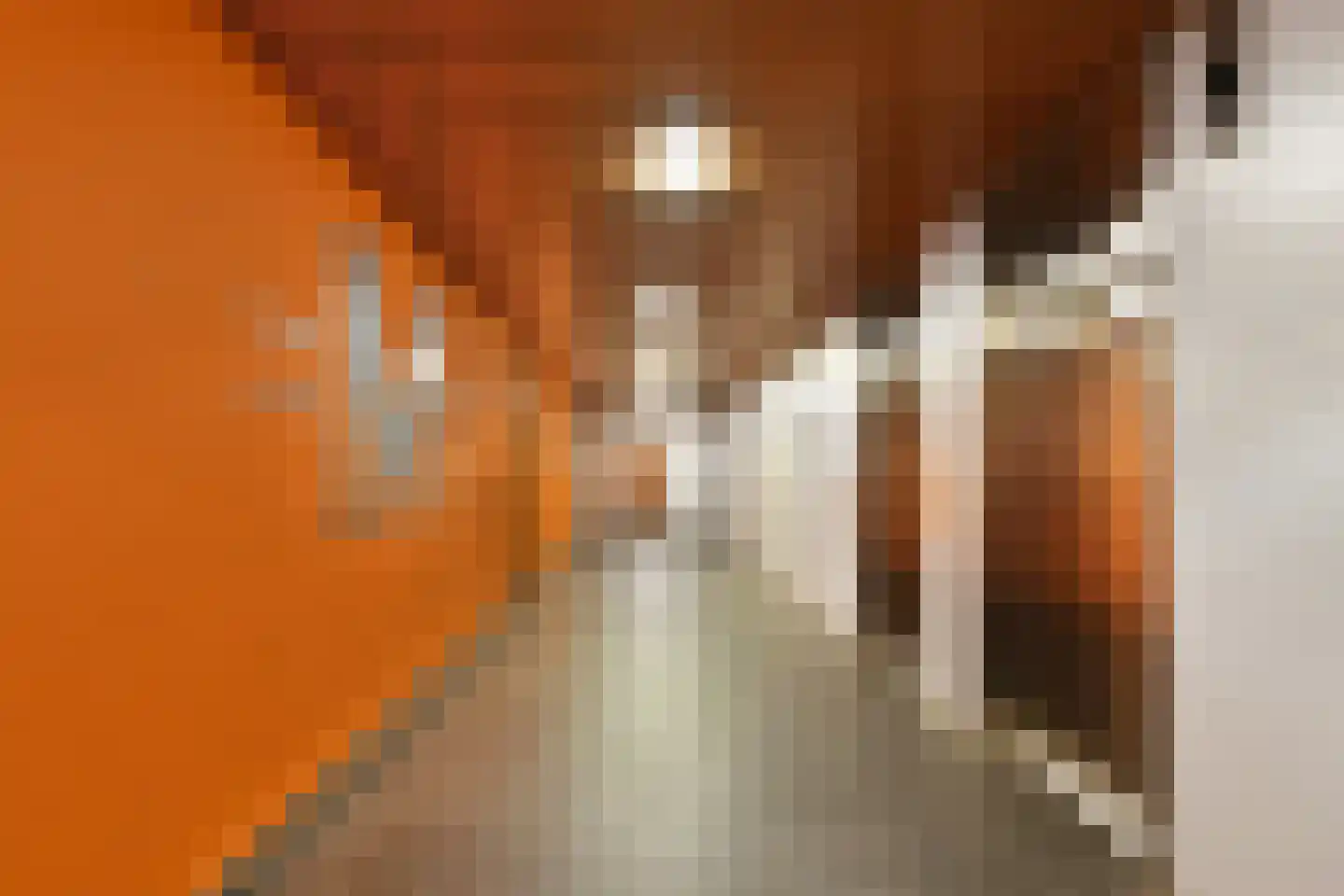Wierdsmaplein 37 Rotterdam thumbnail 6