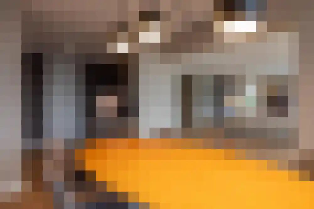 Wierdsmaplein 5 Rotterdam thumbnail 13