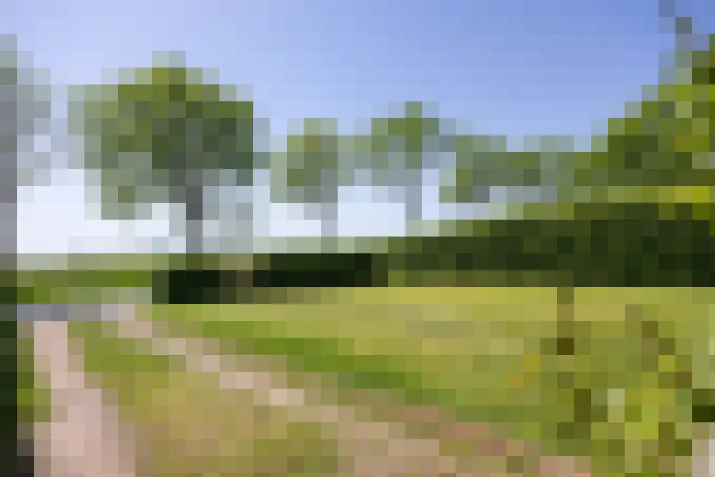Wierhuisterweg 19 Pieterburen thumbnail 10