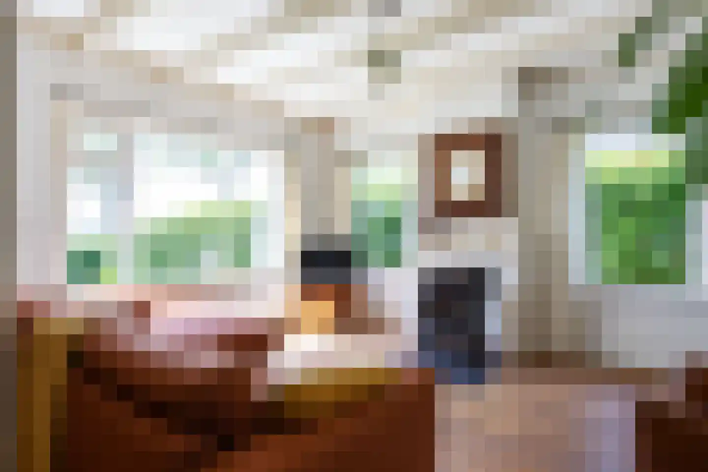 Wierhuisterweg 19 Pieterburen thumbnail 11