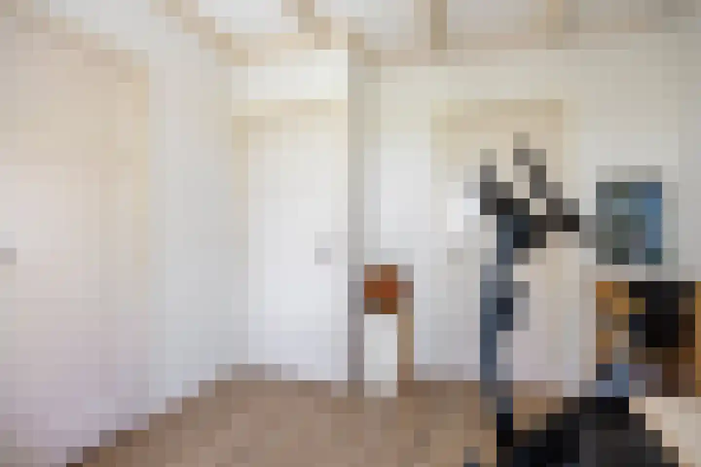 Wierhuisterweg 19 Pieterburen thumbnail 20