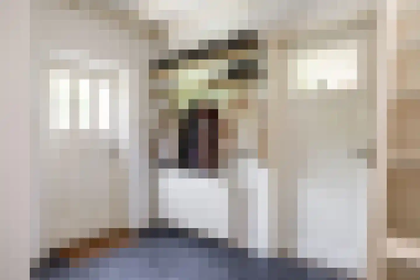 Wierhuisterweg 19 Pieterburen thumbnail 25